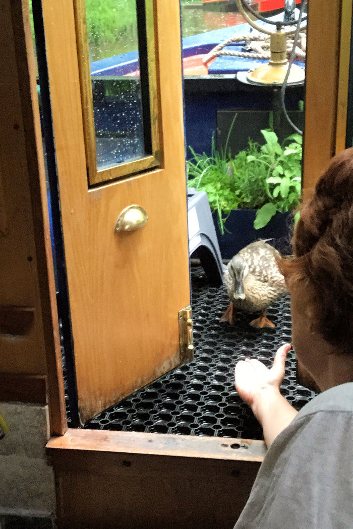 Feeding Ducks photograph